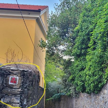 Casaviva - Magical Bilo In Camogli Lägenhet Exteriör bild